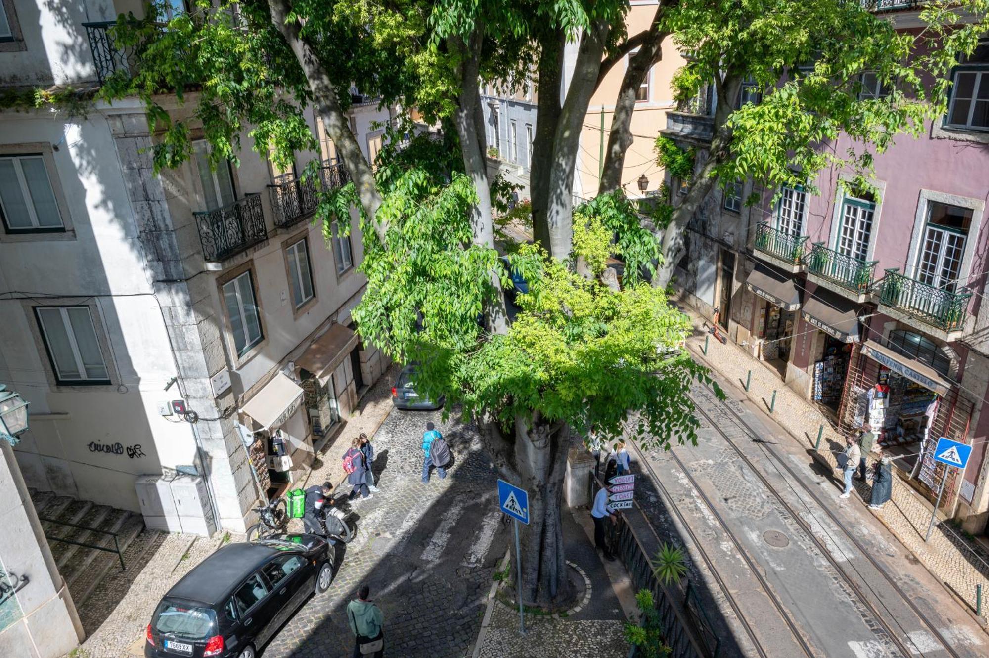 Portas Do Teatro Apartments Lisboa Стая снимка